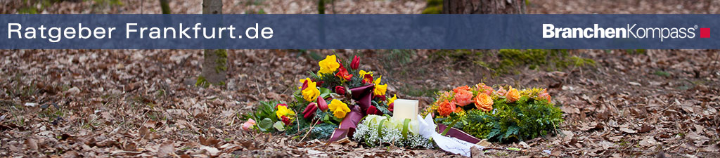 Eine Friedwald Bestattung in Frankfurt wird immer beliebter